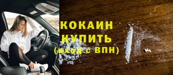 мяу мяу мука Белокуриха