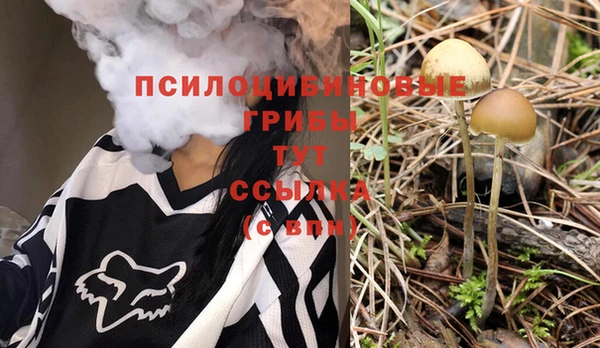 прущие крисы Балахна